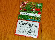 ワイルドフラワーの種