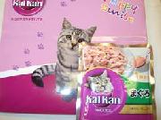 キャットフード