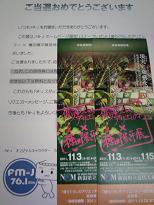 借りぐらしのアリエッティ×種田陽平展ペアチケット