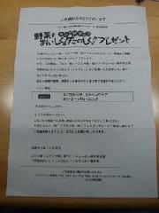 ルクルーゼオパールミニココット