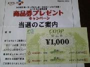 COOP商品券　￥2,000分