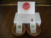 ちょいデカお椀