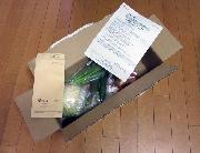 旬の有機野菜セット