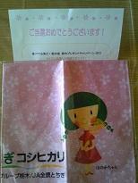 ほのかちゃんオリジナル大判ハンカチ