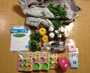 野菜の収穫＆ビール工場見学バスツアーペア招待