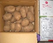 じゃがいも３ｋｇとエプロンチョ