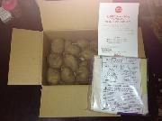 じゃがいも/エプロンチョ