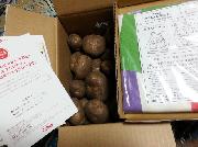 エプロンチョとじゃがいも