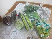夏野菜セット