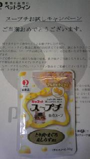 キャットフード