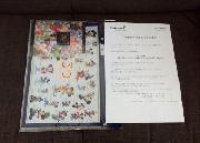 東京ディズニーリゾート３０周年オリジナルクリアホルダー２枚セット