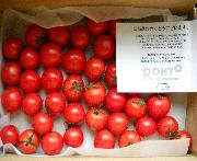 トマト３Ｋ・じゃがいも５Ｋ