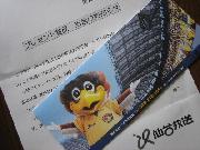 ベガルタ仙台レディース招待チケット　ペア