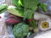 越後・長岡　旬の野菜詰め合わせ10月分