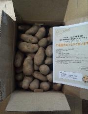 じゃがいも１０ｋｇ