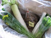 越後・長岡　旬の野菜詰め合わせ11月分