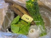 越後・長岡旬の野菜詰め合わせ　12月分