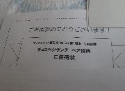 チョコベジランチペア