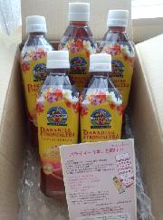 パラダイストロピカルティー