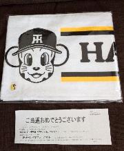 阪神タイガースマフラータオル