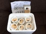 ジャージー牛乳アイス詰め合わせ