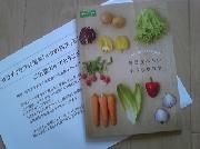 毎日食べたいおうちサラダ