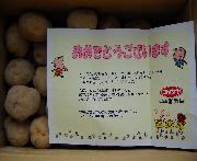 富良野産じゃが芋１０Ｋ