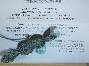 笹団子マスコット