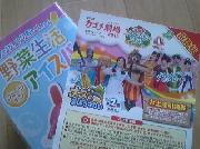 カゴメ劇場2015+野菜生活アイスバー