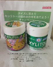 キシリトール詰め合わせ