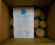 北海道のじゃがいもともふもふブランケット