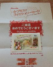 QUOカード500円分