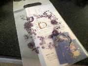 ベネフィーク　サンプル