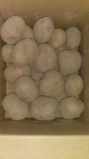 じゃがいも＆トートバック