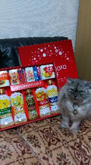 味の素和洋中調味料ギフト