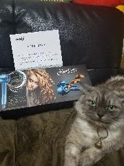 ミラカール　スチームテック