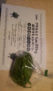 さやえんどう110g