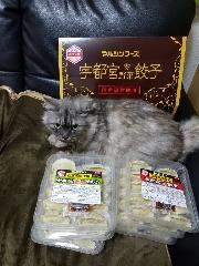 宇都宮肉、野菜餃子　10個入りパック×6個