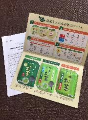 応募者全員プレゼント 急須で楽しむお〜いお茶セット