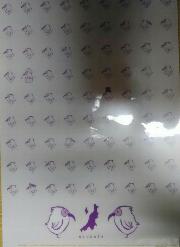 クリアファイル