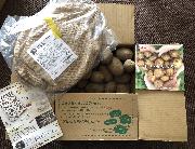 じゃがいも🥔 ベジバスケット