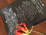 ジルベスター・ガラ・コンサート2017　ペア招待チケット