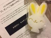 かほぴょんスポンジ