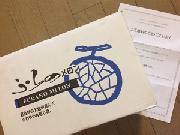 北海道　富良野メロン