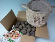 オリジナルベジバスケットと北海道のじゃがいも