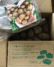 じゃがいも／ベジバスケット