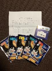 「フィリックス」我慢できない隠し味×「紙兎ロペ」オリジナルメモパッド