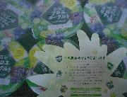 アロエヨーグルト