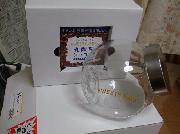 オリジナル乳酸菌ショコラポット