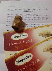 商品セット&ハーゲンダッツギフト券